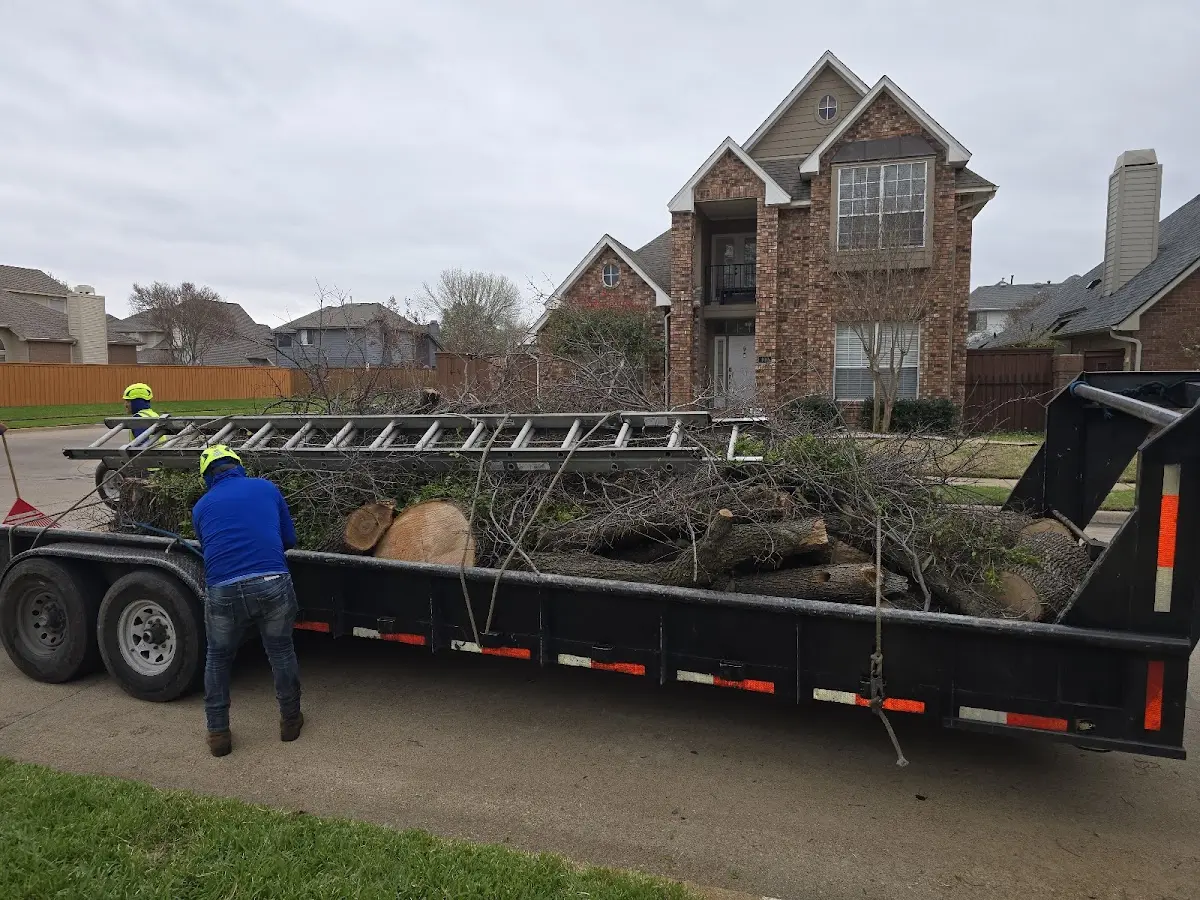 Expert Tree Fertilization with proper safety equipment in Greenvale